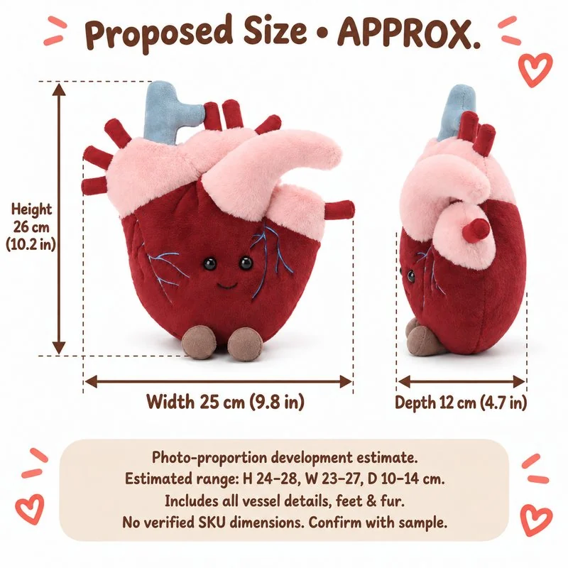 Anatomical Heart Plush — proposed size reference; dimensions require sample confirmation.