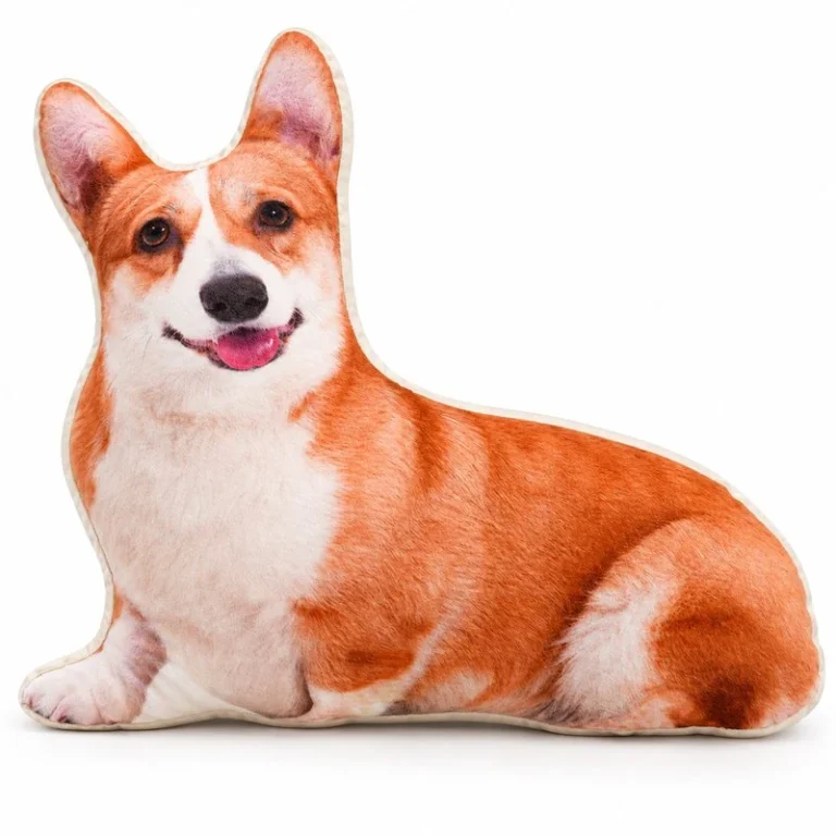 Corgi Printed Plush Pillow