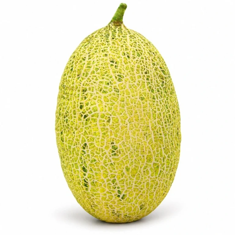 Hami Melon Plush Pillow