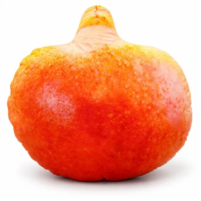 Pomegranate Plush Pillow