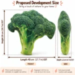 Realistic Broccoli Plush Pillow — proposed size reference; dimensions require sample confirmation.