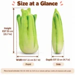 Realistic Celery Plush Pillow — proposed size reference; dimensions require sample confirmation.