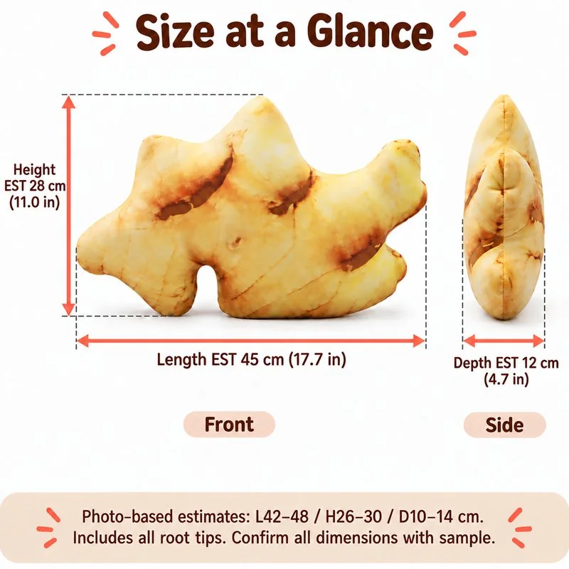 Realistic Ginger Root Plush Pillow — proposed size reference; dimensions require sample confirmation.