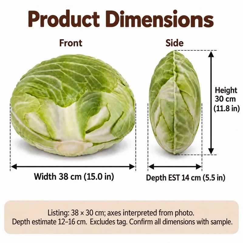 Realistic Green Cabbage Plush Pillow — proposed size reference; dimensions require sample confirmation.