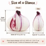 Realistic Onion Plush Pillow — proposed size reference; dimensions require sample confirmation.