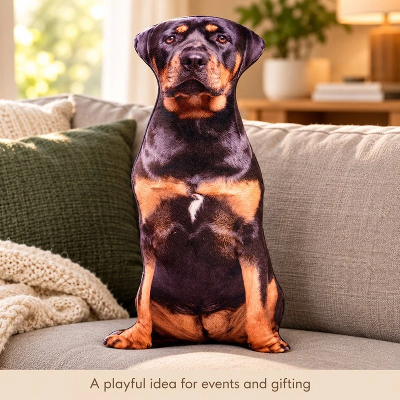 Illustrative application scene featuring rottweiler printed plush pillow; setting is a concept.