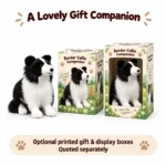 Sitting Border Collie Plush — optional packaging concept; final artwork, fit and quotation require confirmation.