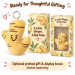 Smiling Ginger Plush Keychain — optional packaging concept; final artwork, fit and quotation require confirmation.