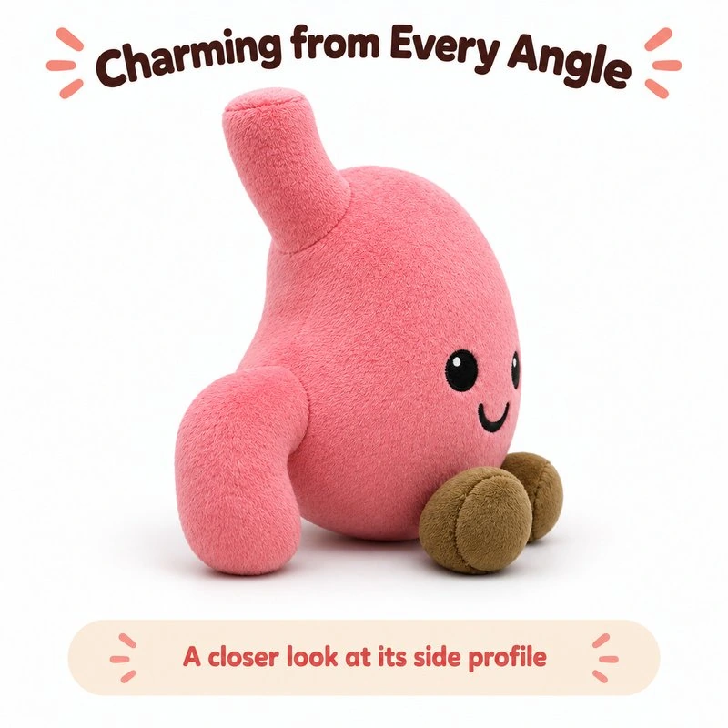 Smiling Pink Stomach Plush — additional angle concept.