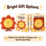 Smiling Sun Plush Pillow — optional packaging concept; final artwork, fit and quotation require confirmation.