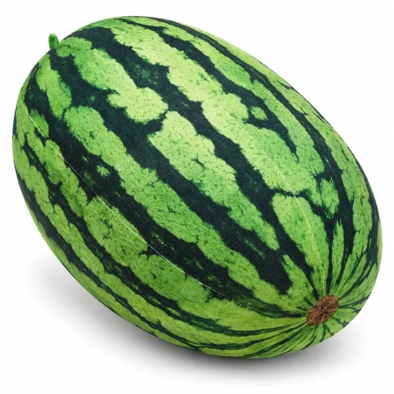 Whole Watermelon Plush Pillow